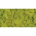 REINDEER MOSS 4 OZ  Spring Green (HEADER)